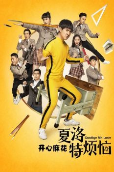 夏洛特烦恼封面图