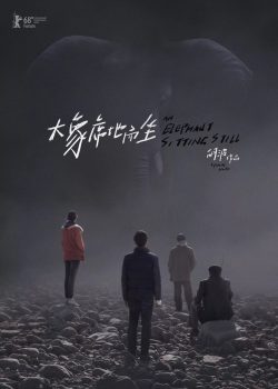大象席地而坐封面图