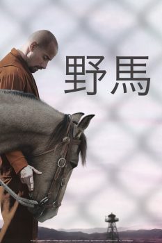 野马封面图