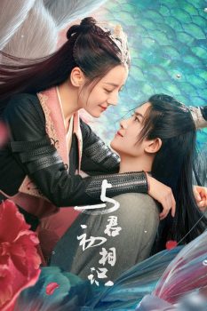 与君初相识: 第1季