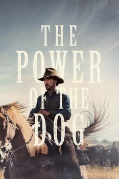 犬之力封面图