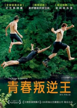 夏日之王封面图