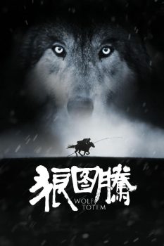 狼图腾封面图