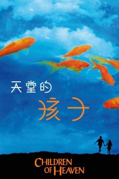 小鞋子封面图