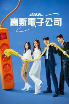 高斯电子公司: 第1季