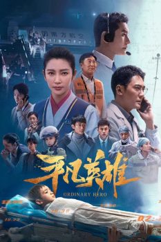 平凡英雄封面图