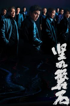坚如磐石封面图
