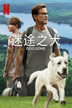 迷途之犬封面图