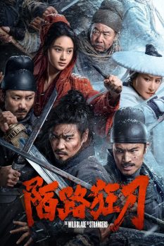 陌路狂刀封面图