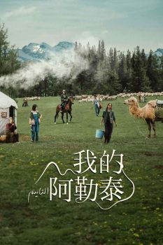 我的阿勒泰: 第一季封面图
