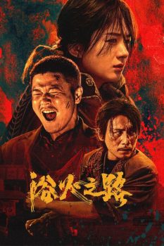 浴火之路封面图