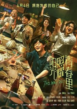 阳光照耀青春里封面图