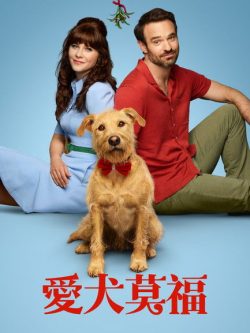 爱犬莫福封面图