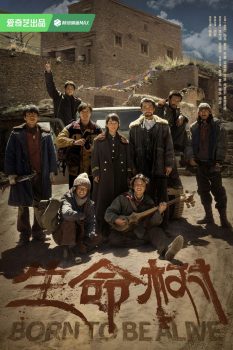 生命树 第1季