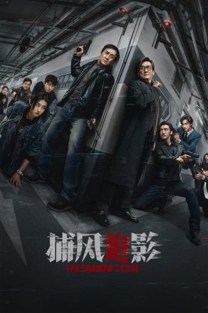 《捕风追影》2025 剧情简介与在线观看