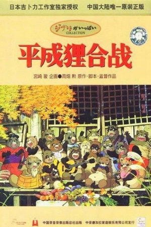 百变狸猫